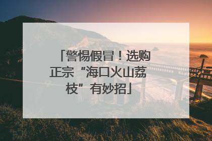 警惕假冒！选购正宗“海口火山荔枝”有妙招