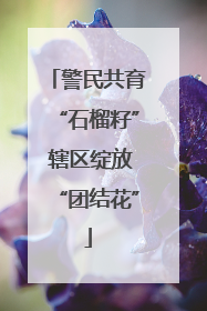 警民共育“石榴籽” 辖区绽放“团结花”