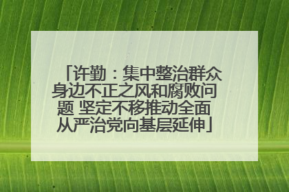 许勤：集中整治群众身边不正之风和腐败问题 坚定不移推动全面从严治党向基层延伸