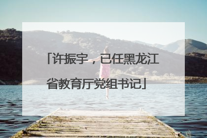 许振宇，已任黑龙江省教育厅党组书记