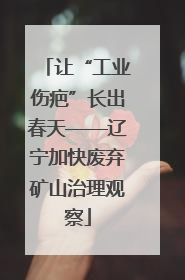 让“工业伤疤”长出春天——辽宁加快废弃矿山治理观察