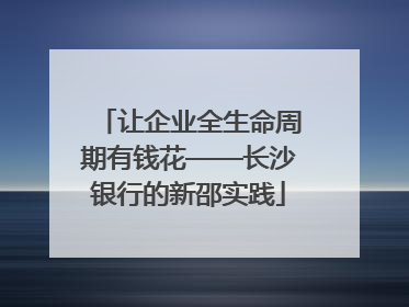 让企业全生命周期有钱花——长沙银行的新邵实践