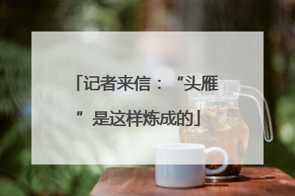 记者来信：“头雁”是这样炼成的