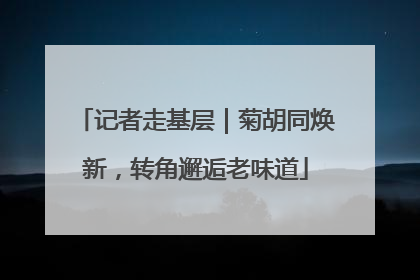 记者走基层｜菊胡同焕新，转角邂逅老味道