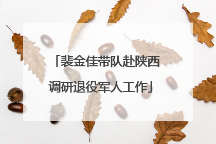 裴金佳带队赴陕西调研退役军人工作