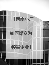 西南小厂如何蝶变为领军企业