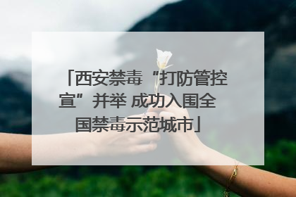 西安禁毒“打防管控宣”并举 成功入围全国禁毒示范城市
