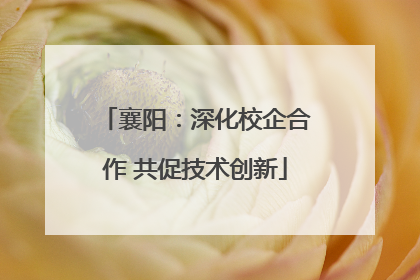 襄阳：深化校企合作 共促技术创新