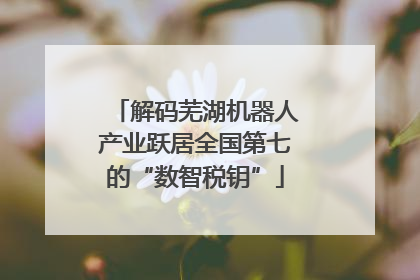 解码芜湖机器人产业跃居全国第七的“数智税钥”