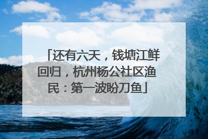 还有六天，钱塘江鲜回归，杭州杨公社区渔民：第一波盼刀鱼