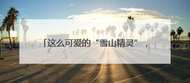 这么可爱的“雪山精灵”，当然是要好好守护啦——有一种叫云南的生活之365天