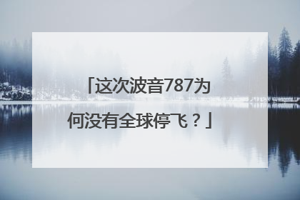 这次波音787为何没有全球停飞？