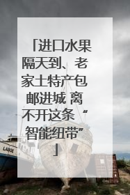 进口水果隔天到、老家土特产包邮进城 离不开这条“智能纽带”