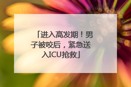 进入高发期！男子被咬后，紧急送入ICU抢救