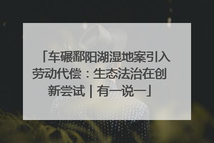 车碾鄱阳湖湿地案引入劳动代偿：生态法治在创新尝试｜有一说一