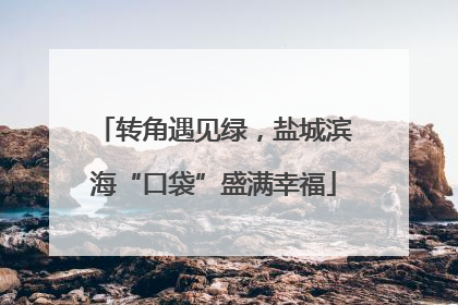 转角遇见绿，盐城滨海“口袋”盛满幸福