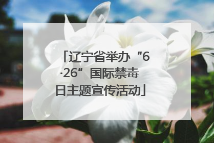 辽宁省举办“6·26”国际禁毒日主题宣传活动
