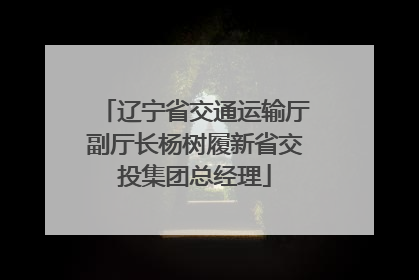 辽宁省交通运输厅副厅长杨树履新省交投集团总经理