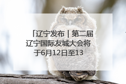 辽宁发布｜第二届辽宁国际友城大会将于6月12日至13日在沈阳举办