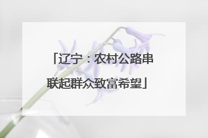 辽宁：农村公路串联起群众致富希望