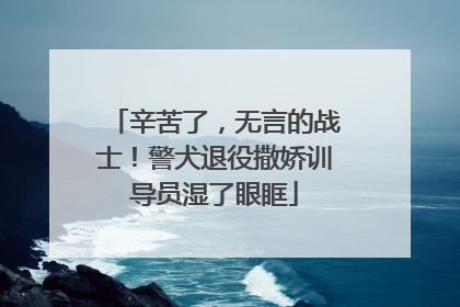 辛苦了，无言的战士！警犬退役撒娇训导员湿了眼眶
