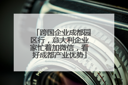 跨国企业成都园区行，意大利企业家忙着加微信，看好成都产业优势