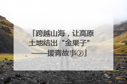 跨越山海，让高原土地结出“金果子”——援青故事②