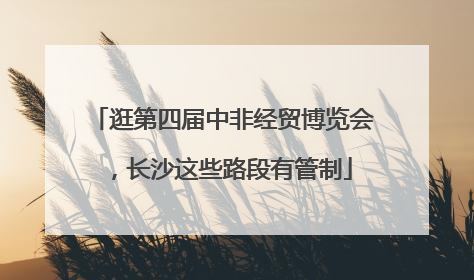 逛第四届中非经贸博览会，长沙这些路段有管制
