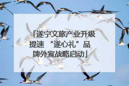 遂宁文旅产业升级提速 “遂心礼”品牌外宣战略启动
