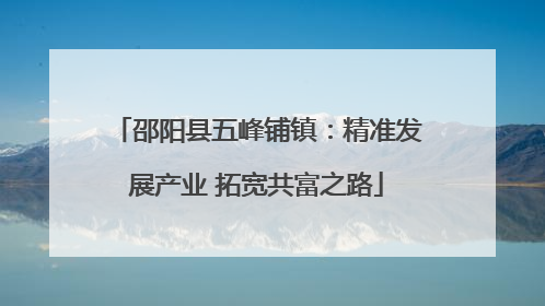 邵阳县五峰铺镇：精准发展产业 拓宽共富之路