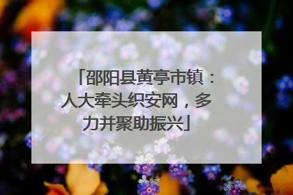邵阳县黄亭市镇：人大牵头织安网，多力并聚助振兴