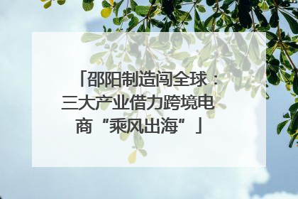邵阳制造闯全球：三大产业借力跨境电商“乘风出海”