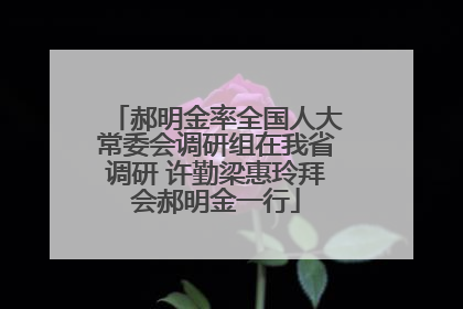 郝明金率全国人大常委会调研组在我省调研 许勤梁惠玲拜会郝明金一行