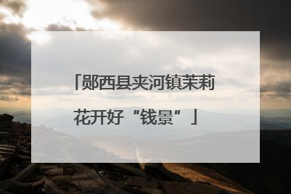 郧西县夹河镇茉莉花开好“钱景”