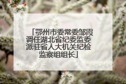 鄂州市委常委邹霞调任湖北省纪委监委派驻省人大机关纪检监察组组长