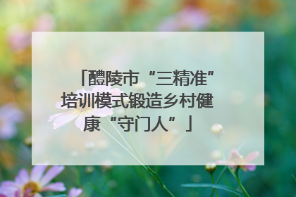 醴陵市“三精准”培训模式锻造乡村健康“守门人”
