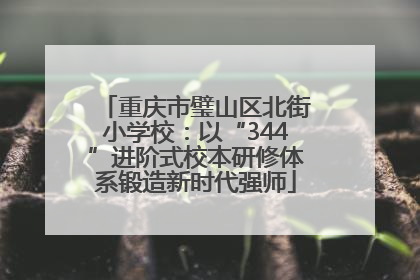重庆市璧山区北街小学校：以“344”进阶式校本研修体系锻造新时代强师