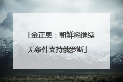 金正恩：朝鲜将继续无条件支持俄罗斯