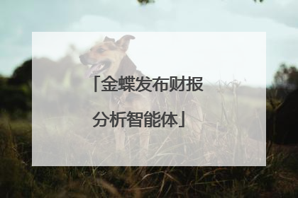 金蝶发布财报分析智能体