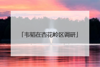 韦韬在杏花岭区调研