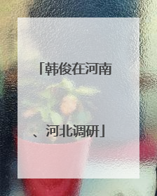 韩俊在河南、河北调研