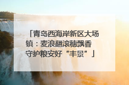 青岛西海岸新区大场镇：麦浪翻滚穗飘香 守护粮安好“丰景”