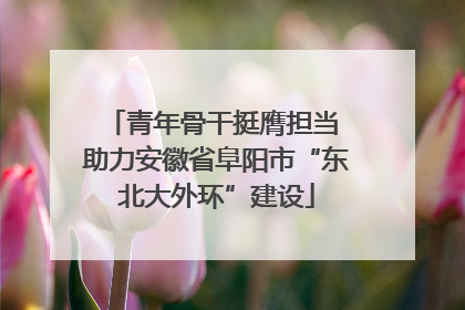 青年骨干挺膺担当 助力安徽省阜阳市“东北大外环”建设