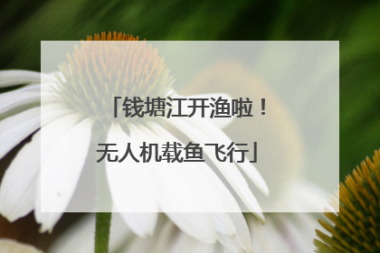 钱塘江开渔啦！无人机载鱼飞行