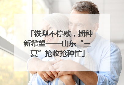 铁犁不停歇，播种新希望——山东“三夏”抢收抢种忙