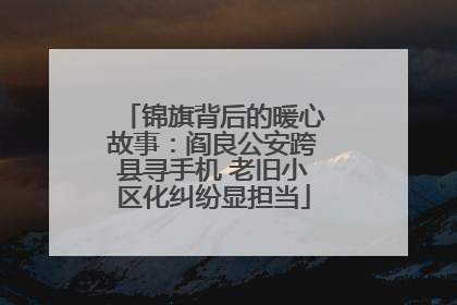 锦旗背后的暖心故事：阎良公安跨县寻手机 老旧小区化纠纷显担当