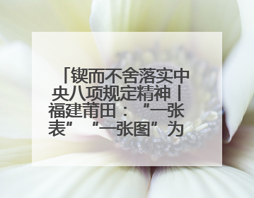 锲而不舍落实中央八项规定精神丨福建莆田：“一张表”“一张图”为基层减轻“数字负担”