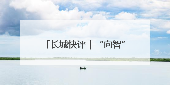 长城快评｜“向智”而行，建设全国现代商贸物流重要基地