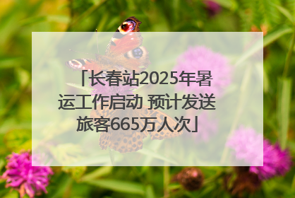 长春站2025年暑运工作启动 预计发送旅客665万人次