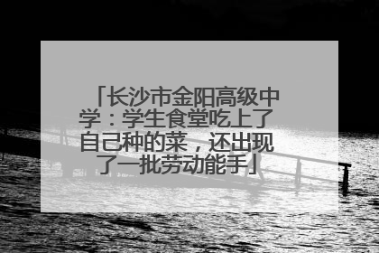 长沙市金阳高级中学：学生食堂吃上了自己种的菜，还出现了一批劳动能手